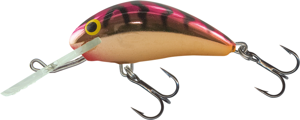 Salmo Rattlin Hornet Floating 6.5cm